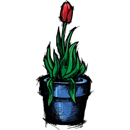 red_tulipのイラスト素材