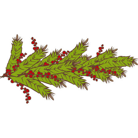 Christmas fir tree with red holly berriesのイラスト素材
