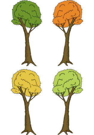 Spring, Summer and Autumn Trees. Isolated on white backgroundのイラスト素材