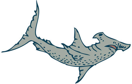 Hammerhead Sharkのイラスト素材