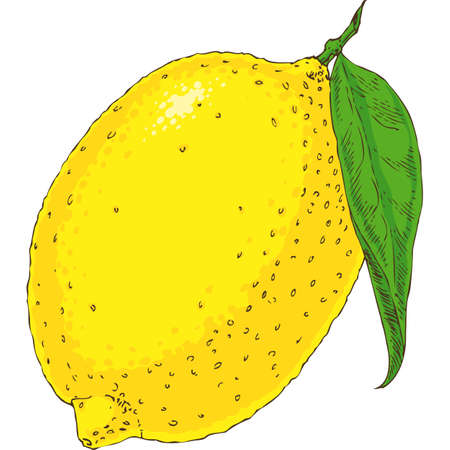 Ripe Yellow Lemon with Green Leaf on White Backgroundのイラスト素材