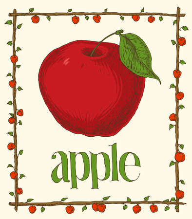 Menu Page Design with Red Apples and Green Leavesのイラスト素材
