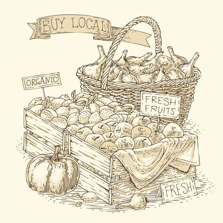 Engraving Fruits and Vegetables for Sale. Bulb Onion, Apples, Lemons and Pumpkinのイラスト素材