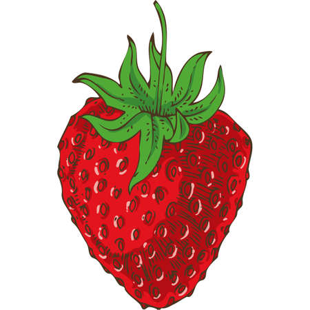 Ripe Red Strawberry Isolated on a White Backgroundのイラスト素材
