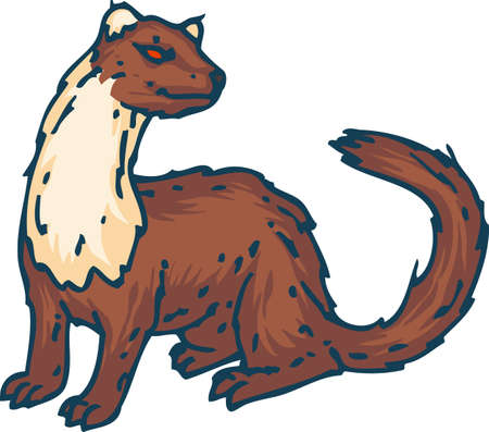 Standing Weasel or Marten Isolated on a Whiteのイラスト素材