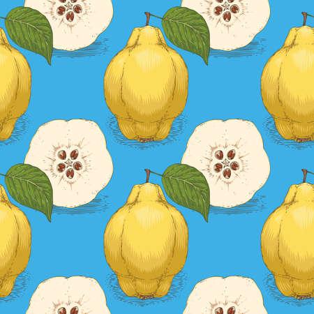 SeamlessPattern with Ripe Quince in Cross Sectionのイラスト素材