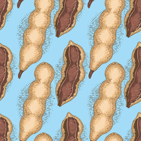 Seamless Pattern. Ripe Tamarindのイラスト素材