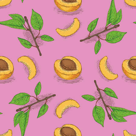Seamless Pattern with Ripe Apricotのイラスト素材
