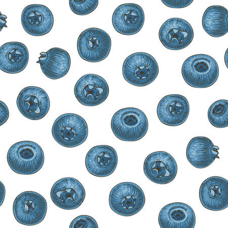 Seamless Pattern with Blueberry on a White Backgroundのイラスト素材