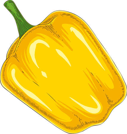 Whole Yellow Bell Pepper Isolated on a Whiteのイラスト素材
