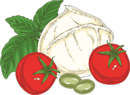 White Buffalo Mozzarella and Vegetablesのイラスト素材