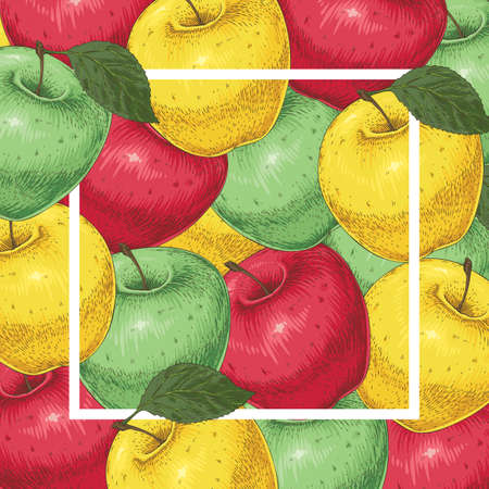Organic food template card with a red, green and red apples. White frame square and blank area at the center.のイラスト素材
