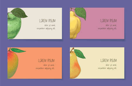 Fruit Business Cards Template Collection On a Violet Background. Apple, Mango, Pear, Quinceのイラスト素材