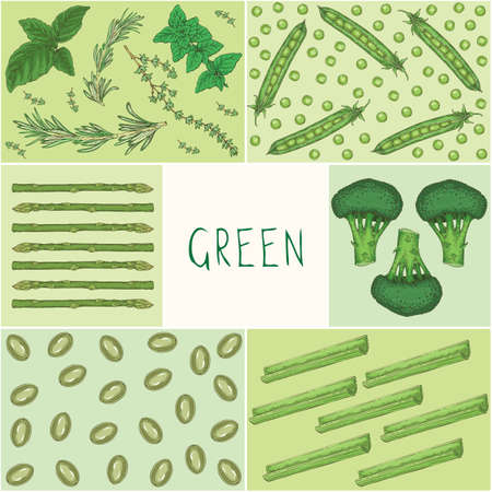 Education Game. Green Color Vegetables and Herbs. Square Card. Hand Drawn Illustrationのイラスト素材