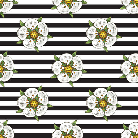 A Seamless Vector Pattern with White Strawberry Flowers on a Black and White Striped Backgroundのイラスト素材