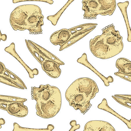Seamless Pattern with Skulls and Bonesのイラスト素材
