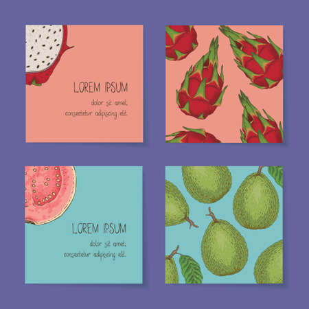 Square Business Cards Template Collection with Fruits On a Violet Background. Guava, Dragon Fruit. Front Side and Back Sideのイラスト素材