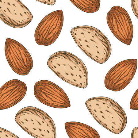 Seamless Pattern with Shelled and Unshelled Almond Isolated on a White Backgroundのイラスト素材