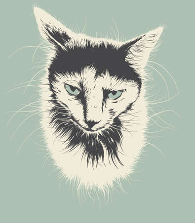 Sad White and Black Cat Portrait. Vector Illustration on a Gray Backgroundのイラスト素材