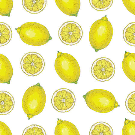 Seamless Pattern with Hand Drawn Ripe Whole Lemons and Slices on a White Background