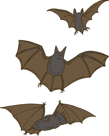Three Bats. Set. Isolated on a Whiteのイラスト素材