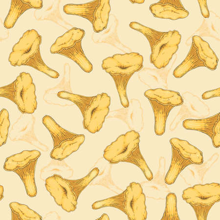 Seamless Pattern with Chanterelle. Edible Mushroomの写真素材