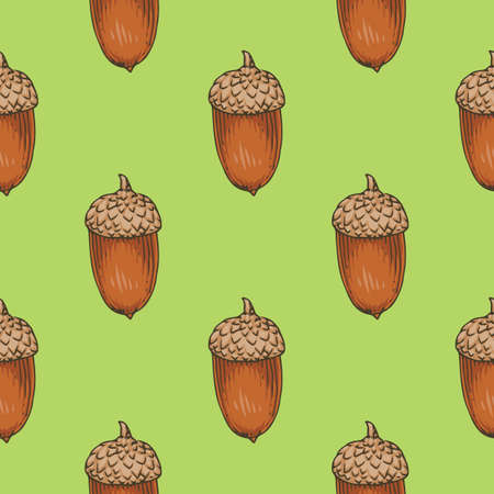 Seamless Pattern with Ripe Acornのイラスト素材