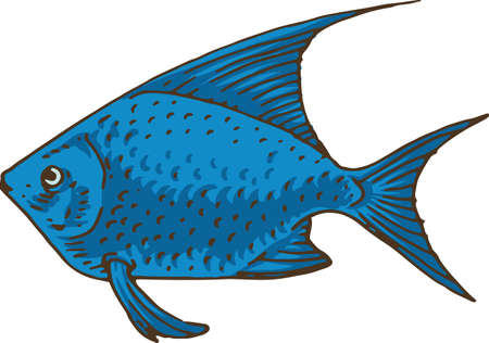Blue Aquarium Exotic Fish. Isolated on Whiteのイラスト素材