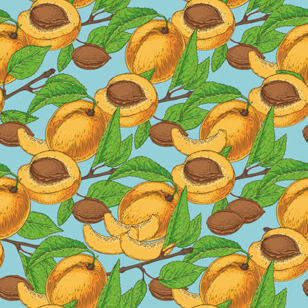 Seamless Pattern with Ripe Apricotのイラスト素材