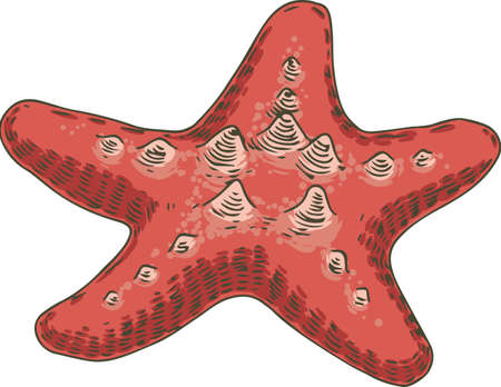 Red Starfishのイラスト素材