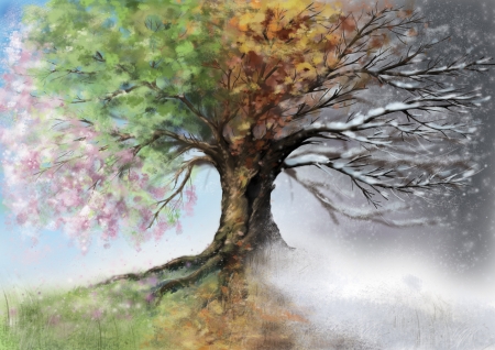 Digital illustration of four season tree の写真素材