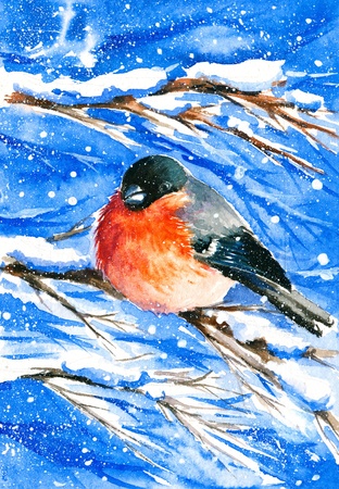 Bullfinch  in a snowy day watercolor painted  の写真素材