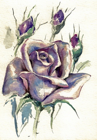 Single beautiful rose watercolor painted  の写真素材