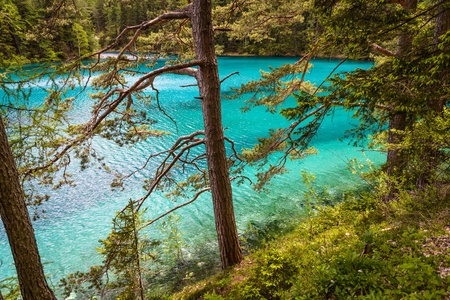 Trees and  turquoise lake in background-Gruener See,Styria,Austria  の写真素材