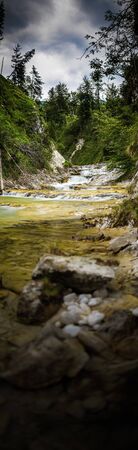 Mountain river in forest with yellow stones in water and green trees in background 