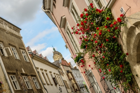 Small street at summer with roses in foreground Wachau region,Austria 