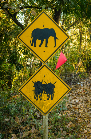 Elephant and Ox warning signs on the road ,Thailand の写真素材