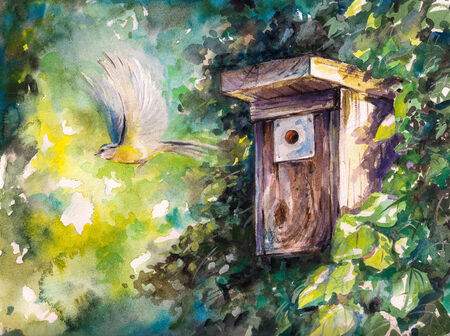 Blue tit flying out of birdhouse Picture created with watercolors の写真素材