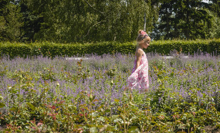 PRAGUE, CZECH REPUBLIC - MAY 23, 2014  Unidentified girl walking through the rose garden in Prague Rosarium is situated at the Petrin Hill and is a favorite place for residents and touristsのeditorial素材