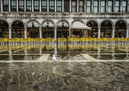 VENICE,ITALY-SEPT,12,2014:Flood in Venice, acqua alta on Piazza San Marco on Sept, 12, 2014 in Venice, Italyのeditorial素材