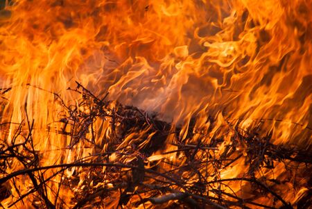 Nature background with bright fire on the wood at dark night.
