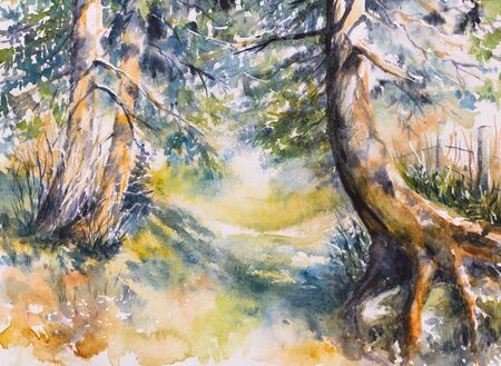 Pathway in forest.Picture created with watercolorsの写真素材