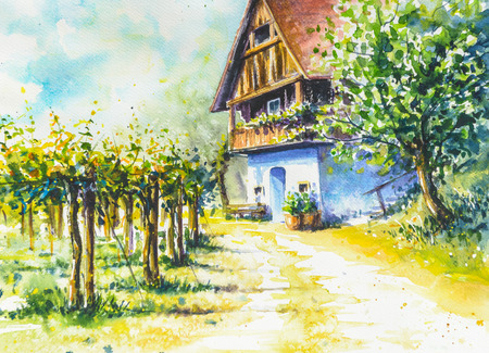Summer landscape vineyard and cottage-house in background.Picture created with watercolors.の写真素材
