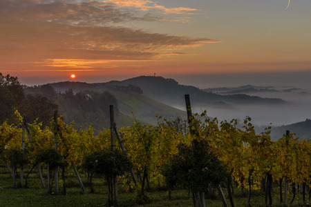 Foggy landscape in early morning, in South Styria (Stajerska) .Border Austria-Slovenia.の写真素材