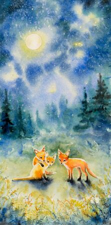 Childrens book illustration -Fox over a night sky. Picture made with watercolors.の写真素材