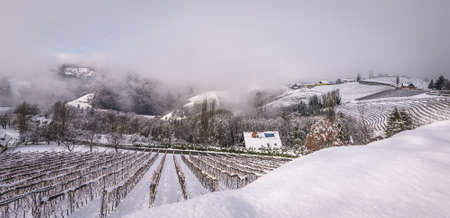 Winter landscape with South Styria vineyards, known as Austrian Tuscany, a charming region on the border between Austria and Slovenia with rolling hills, picturesque villages and wine taverns.の写真素材