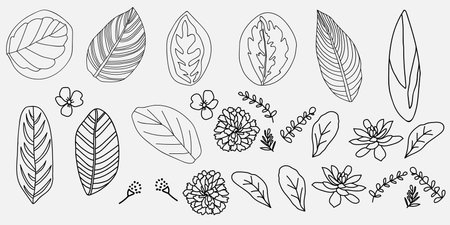 Illustration of the flowers and leaves on a white background. Vector illustration.のイラスト素材