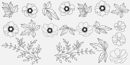 Illustration of the flowers on a white background. Vector illustration.のイラスト素材
