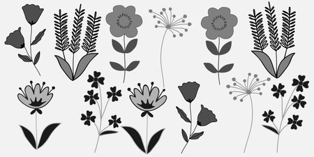 Chic black and white floral patterns with various flowers and leaves in a detailed, seamless designのイラスト素材