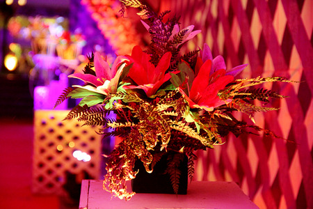 Decoration view in Indian Weddingの写真素材